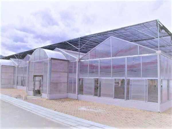 UV Protection Polycarbonate Sheet For Sun Room
